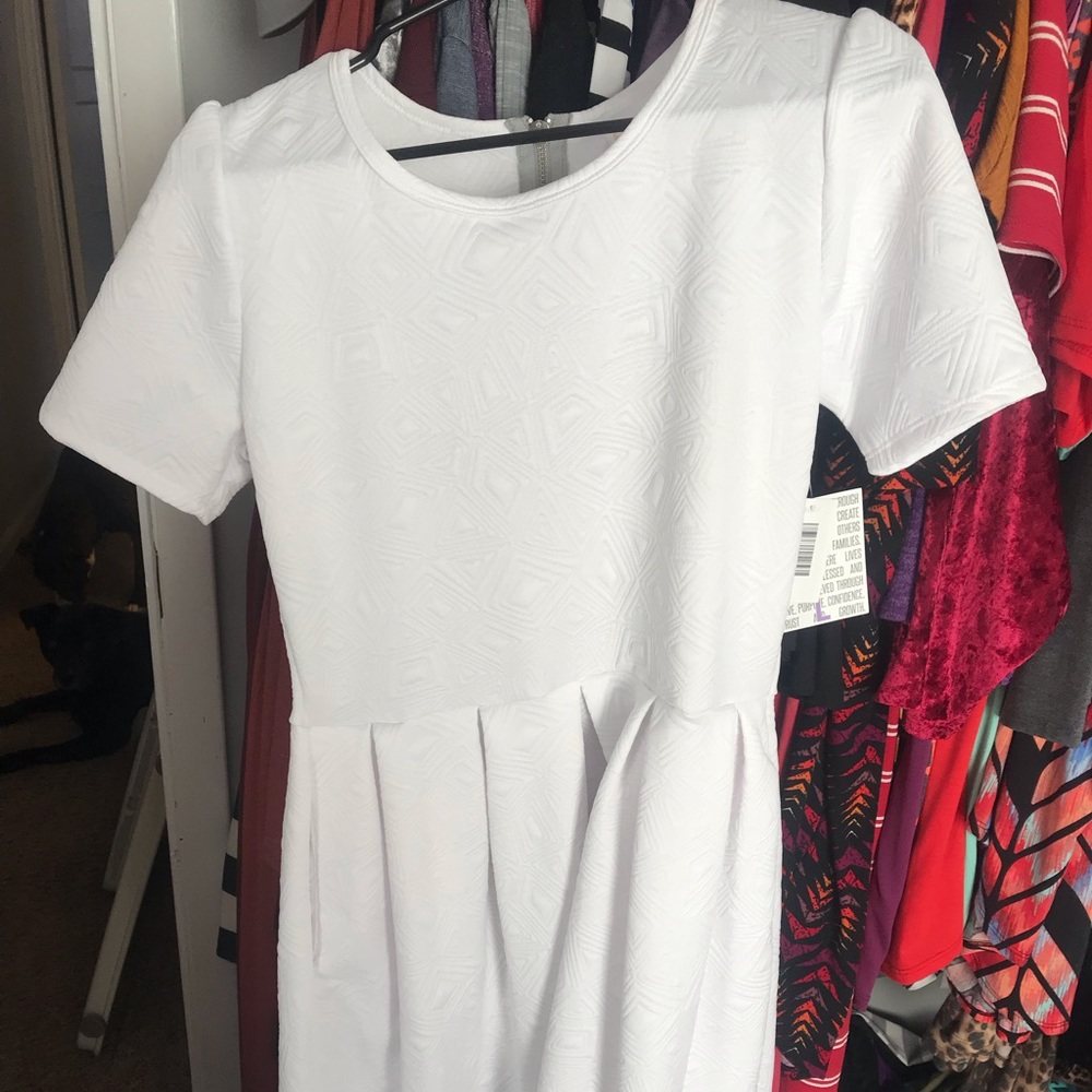 Lularoe Amelia